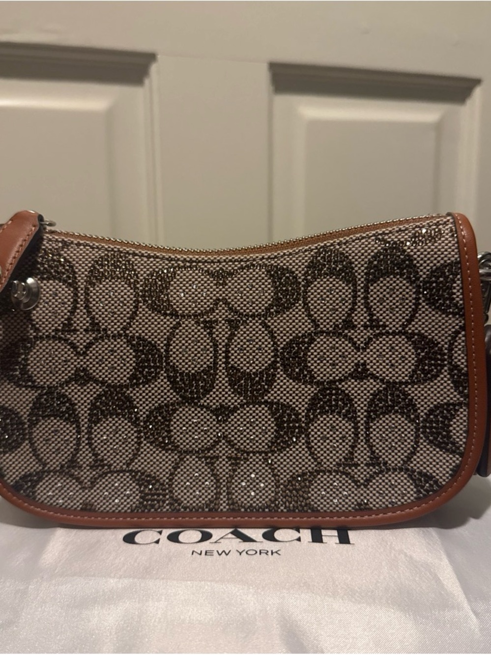 Coach Swinger 20